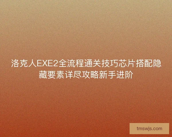 洛克人EXE2全流程通关技巧芯片搭配隐藏要素详尽攻略新手进阶